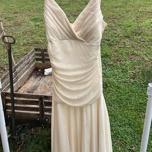 Trixxi Champagne Shimmer Dress Size L